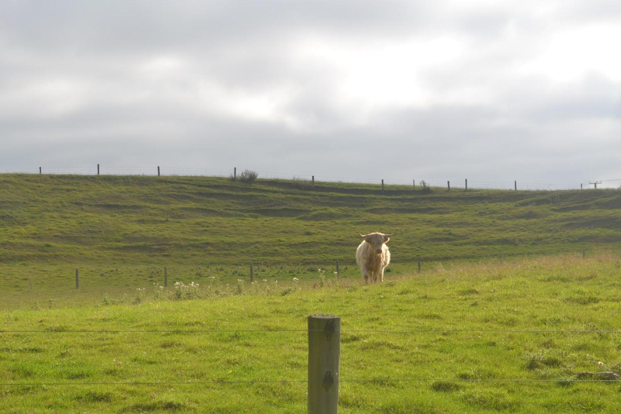 Highlands On Homestead Oamaru Extérieur photo