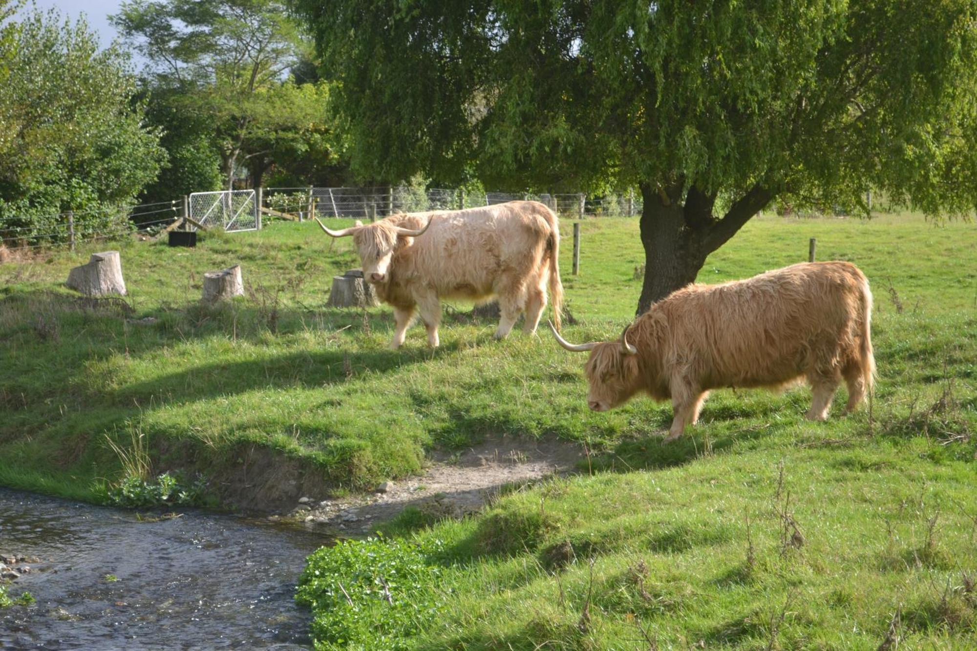Highlands On Homestead Oamaru Extérieur photo