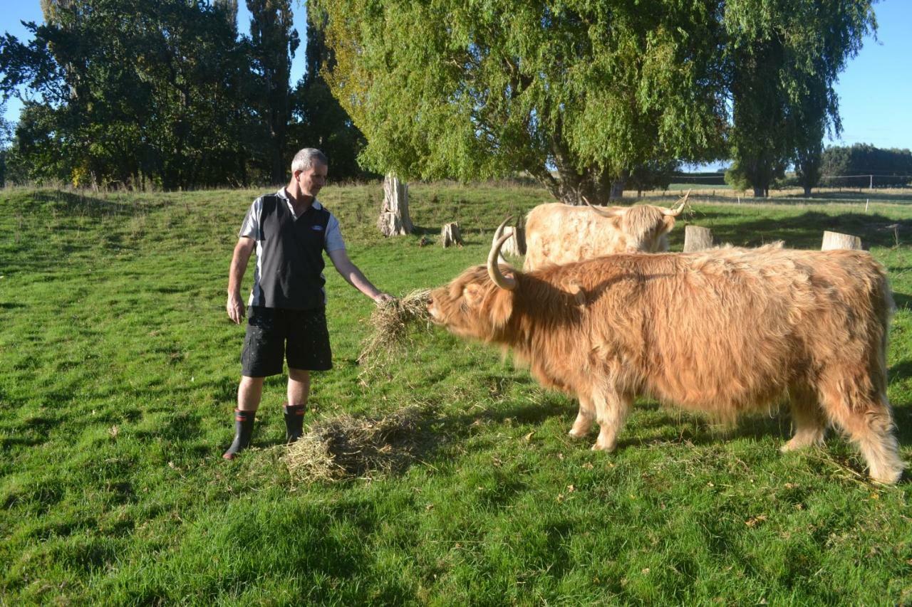 Highlands On Homestead Oamaru Extérieur photo