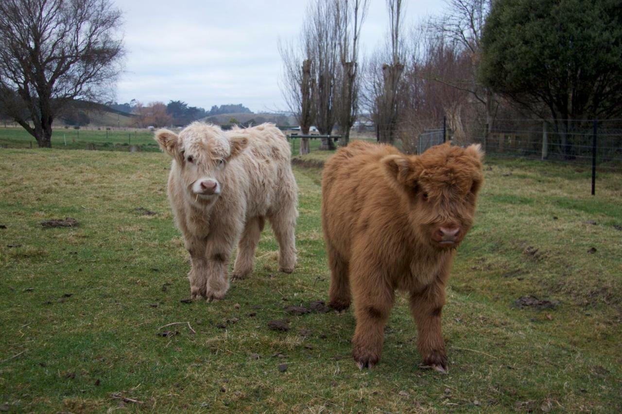Highlands On Homestead Oamaru Extérieur photo
